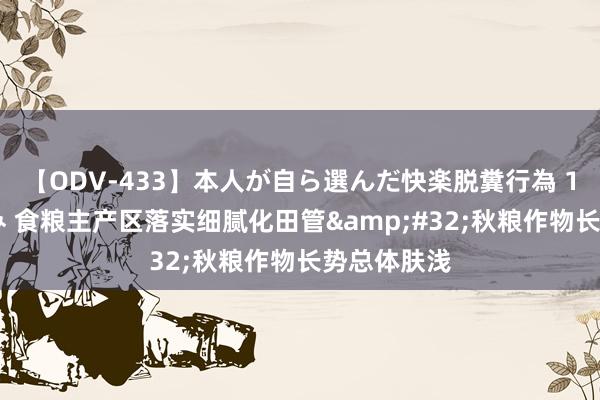 【ODV-433】本人が自ら選んだ快楽脱糞行為 1 神崎まゆみ 食粮主产区落实细腻化田管&#32;秋粮作物长势总体肤浅
