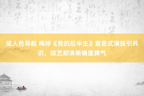 成人色导航 梅婷《我的后半生》窒息式演技引共识，综艺却清晰确凿脾气
