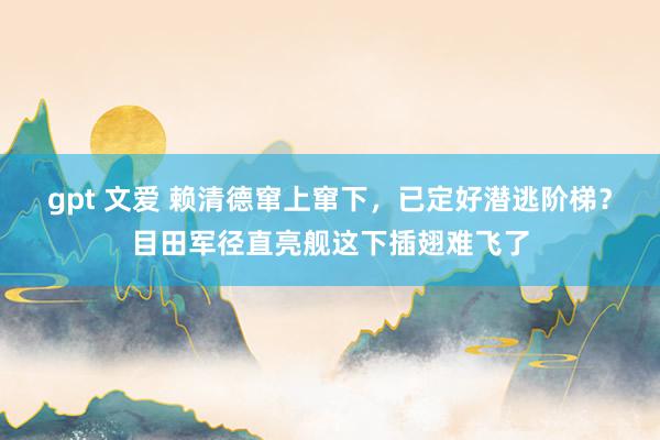gpt 文爱 赖清德窜上窜下，已定好潜逃阶梯？目田军径直亮舰这下插翅难飞了