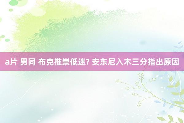 a片 男同 布克推崇低迷? 安东尼入木三分指出原因