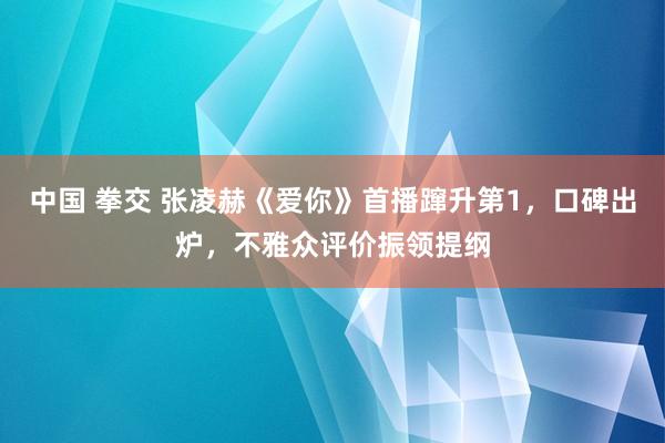 中国 拳交 张凌赫《爱你》首播蹿升第1，口碑出炉，不雅众评价振领提纲